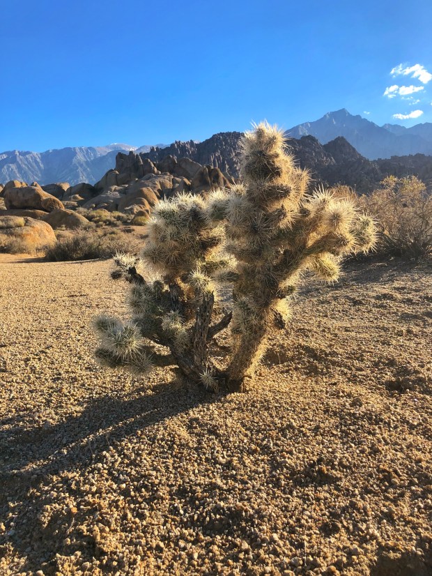 Processed with Snapseed.