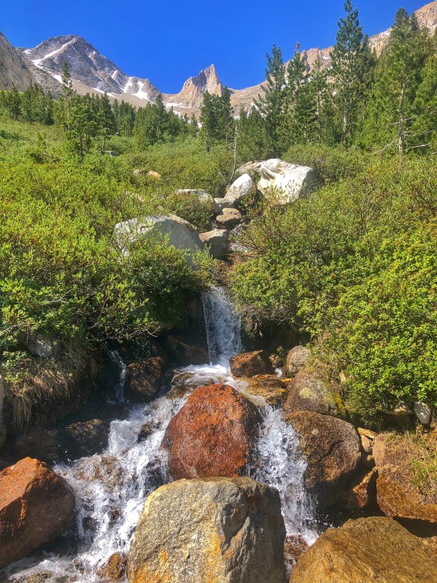Bubbling creek in the Sierras