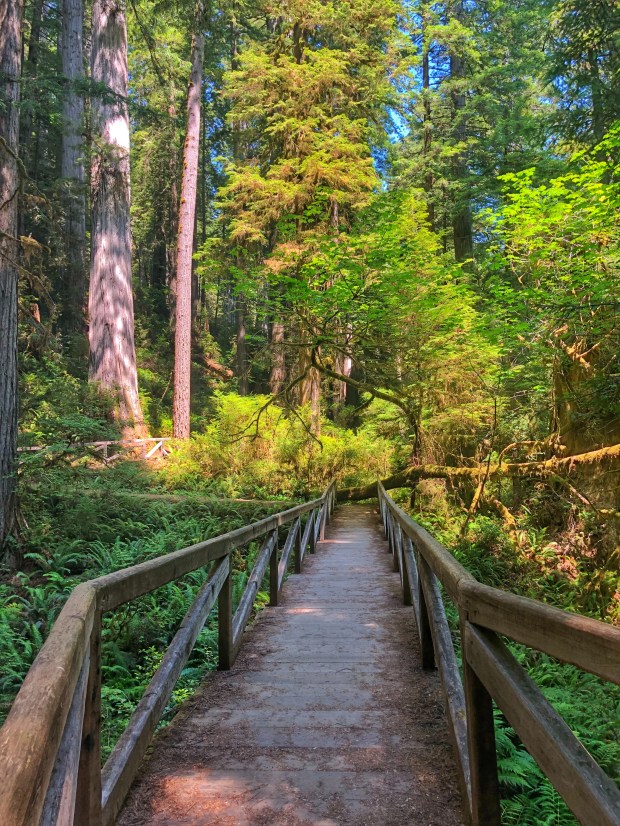 Processed with Snapseed.